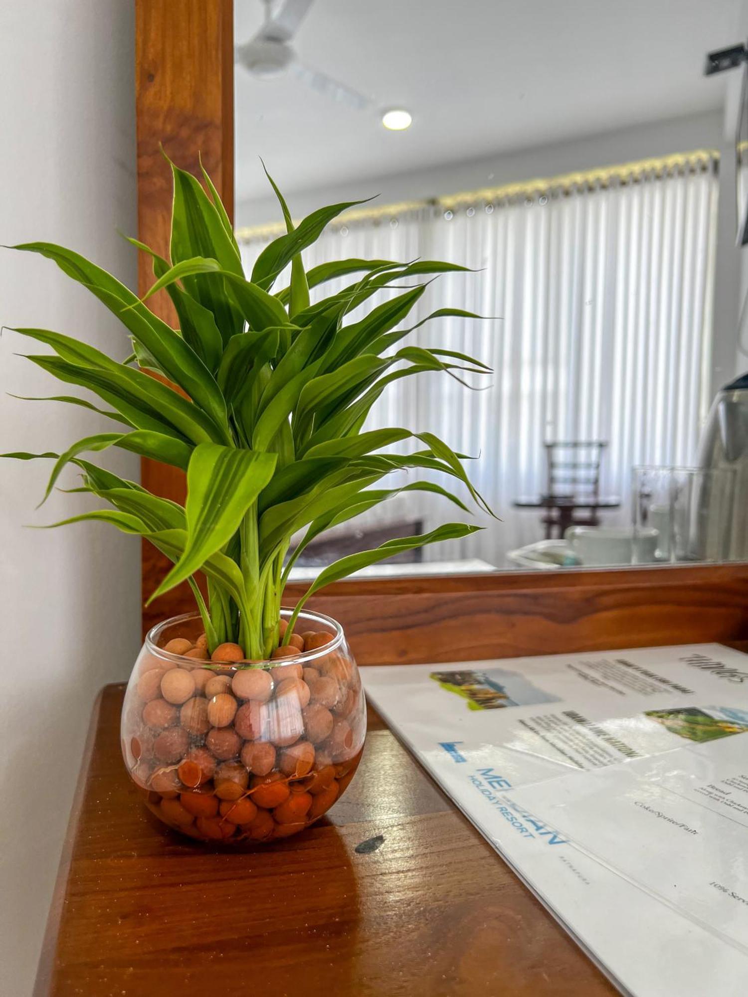 Meridian Holiday Resort Ratnapura Bagian luar foto